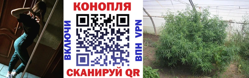 Как найти закладки Жуковский ГАШ МДМА Альфа ПВП OMG tor Меф мяу мяу COCAIN Галлюциногенные грибы