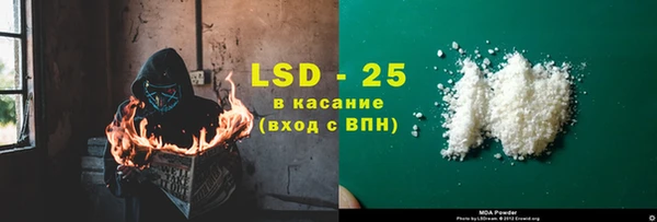 прущие грибы Алексеевка