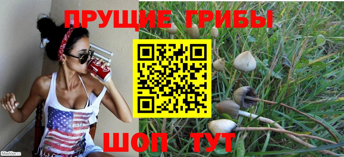 Галлюциногенные грибы Psilocybe Жуковский