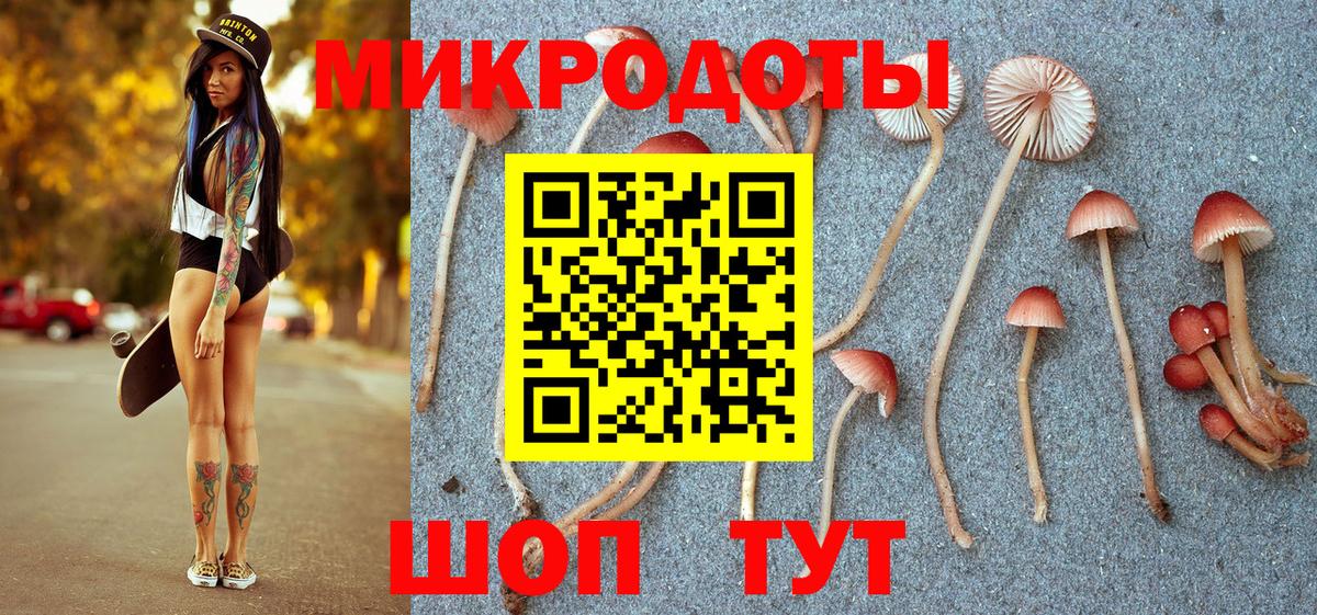 Псилоцибиновые грибы Cubensis  Вход с VPN  Жуковский 